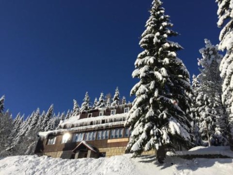 Hotel Flora Dolni Misecky-官方