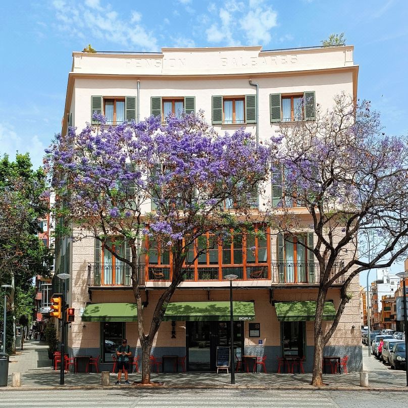 新巴利阿里酒店