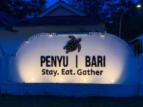 Penyu Bari