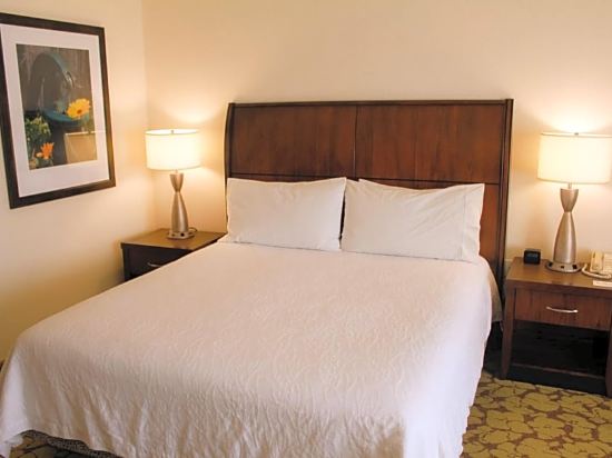 Hilton Garden Inn Redding Room Type - King Room