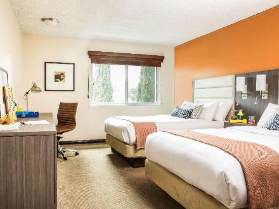 Hotel Avante - JDV by Hyatt Room Type - King Studio with Sofa Bed