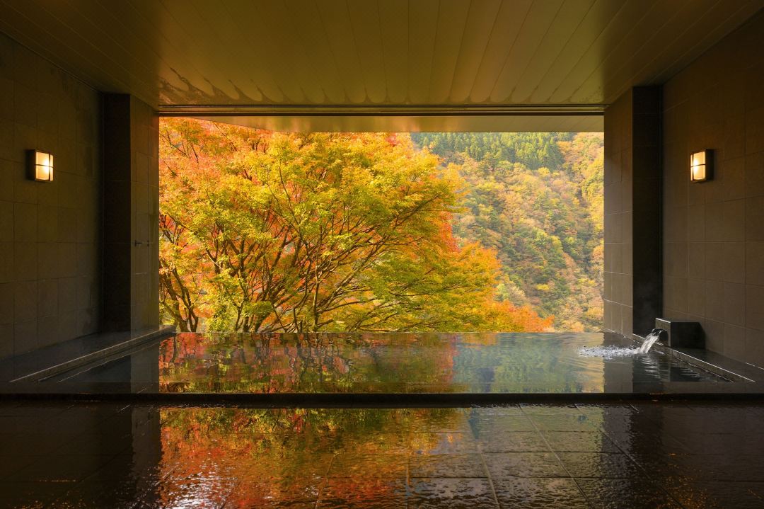 Hotel Iya Onsen