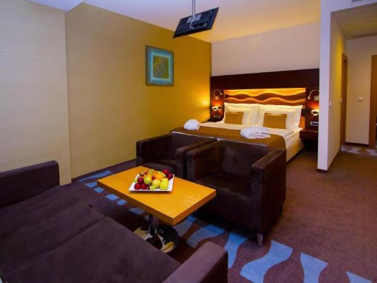 Hotel Danubia Gate Room Type - Deluxe Room With Castle View Hotel Danubia Gate Room Type - Deluxe Room With Castle View