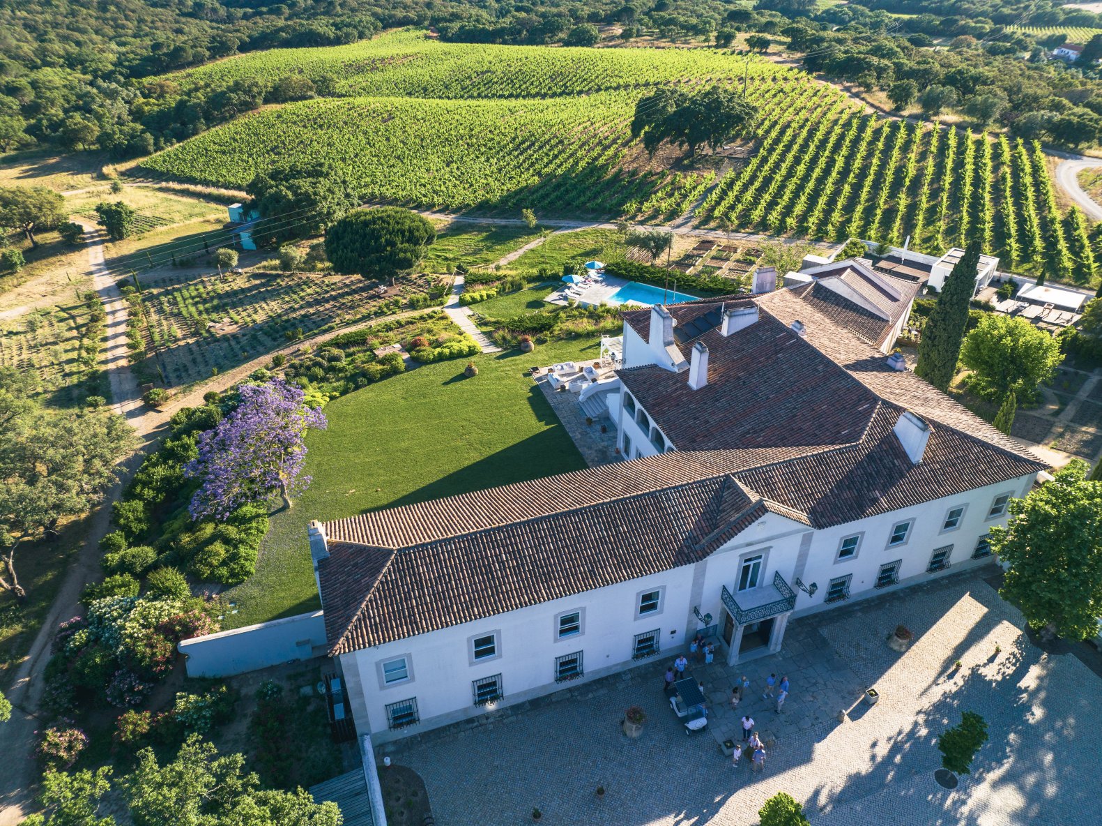 帕尔梅拉之家酒店-官方