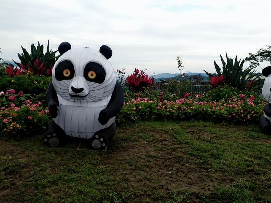 雅安景观楼酒店