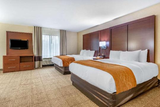 Comfort Suites South-官方