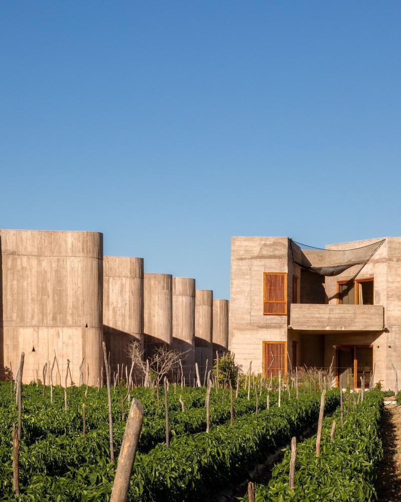 Paradero Todos Santos-官方