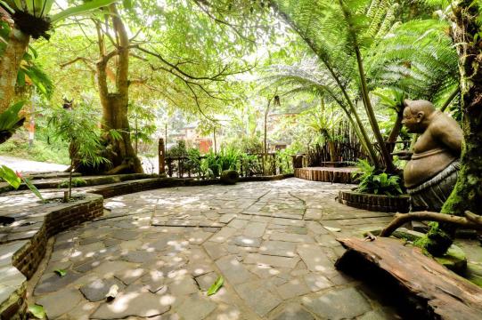 林博诺家庭旅馆-官方