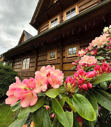 Podgorzyn酒店住宿-Chata Sosnowka Residence