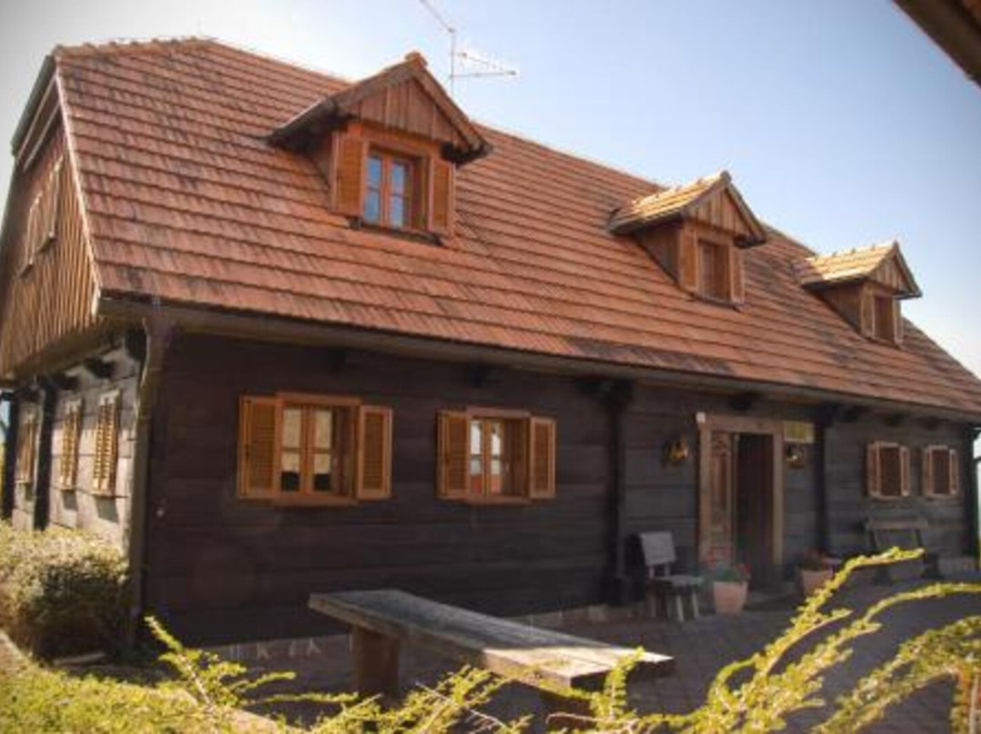 Apartmaji Žolnir