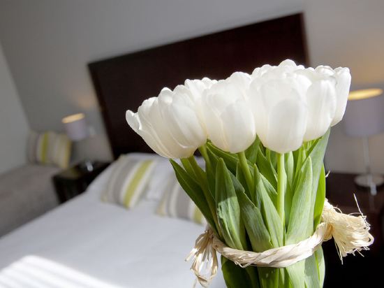 Relais Acropolis Room Type - Standard Double Room