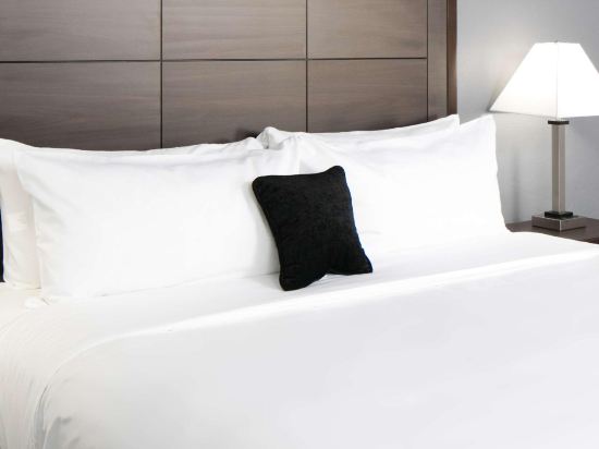 Red Lion Inn & Suites Everett Room Type - Standard Queen Room with Two Queen Beds