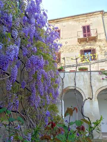 Palazzo de Fabritiis-官方