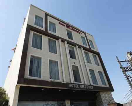 Bilberry Hotel-官方