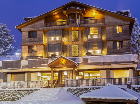 The Vintage Gulmarg