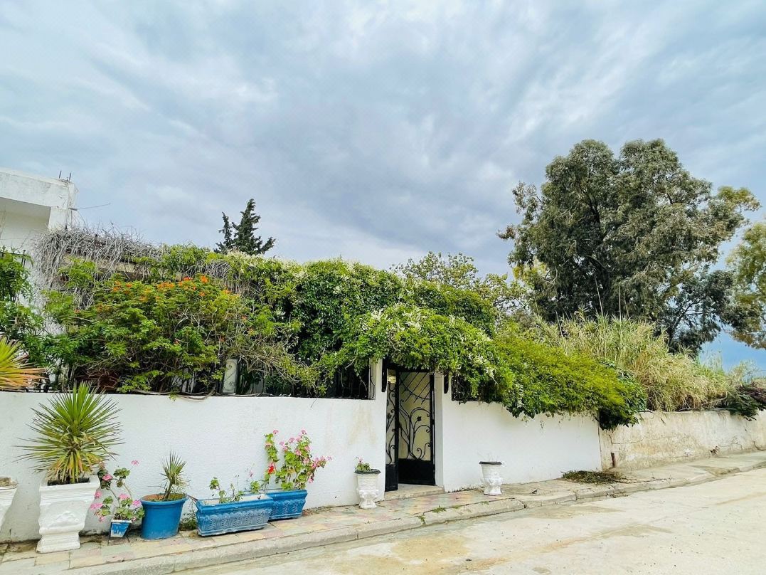 Casa Zitouna- Guest House - Kef, Tunisia