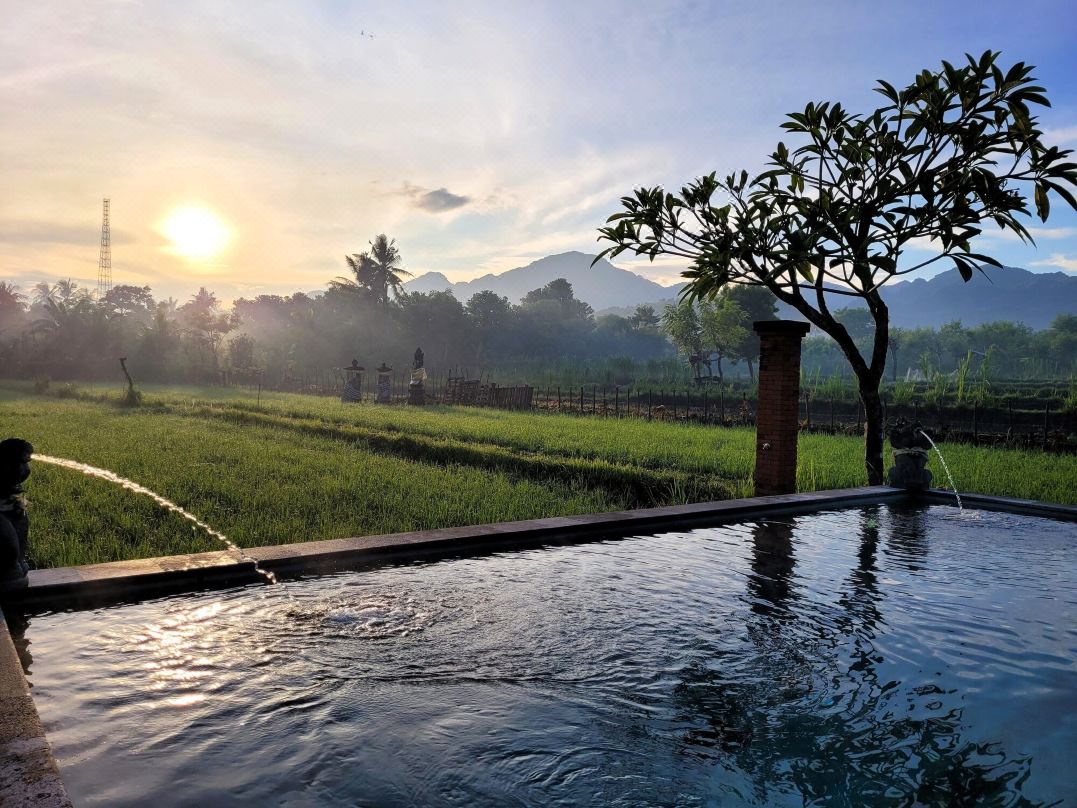 Umma Bali Menjangan Retreat