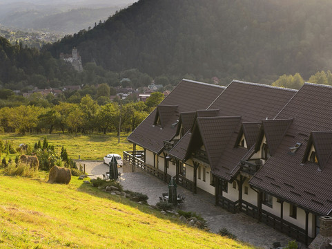 Sohodol酒店住宿-Contele Vladimir