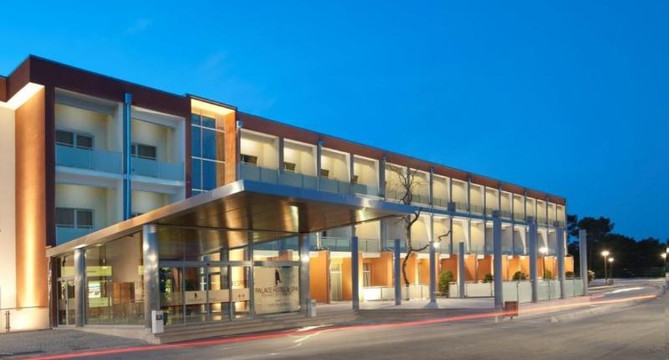 Celorico da Beira酒店住宿-Palace Hotel & SPA Termas de S. Miguel