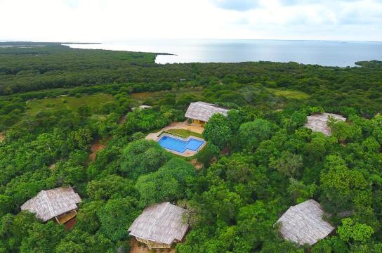 云端威尔帕图阿拉迪亚-官方