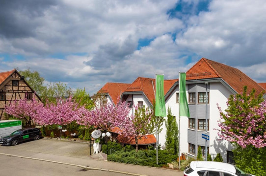 Holzgerlingen酒店住宿-Hotel Reussenstein