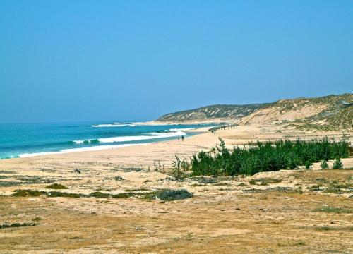 维达首尔酒店-官方