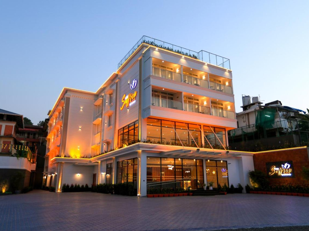 Hotel Saffron Wayanad酒店