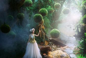 厦门植物园+南普陀+厦门大学+沙坡尾+帆船出海一日游【[一价全含]车费，门票，导游，保险，无任何隐形消费，轻松玩转鹭岛！】