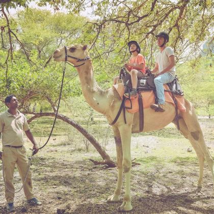 毛里求斯-塔马林湾-卡塞拉-弗利康弗拉克中文包车8小时一日游