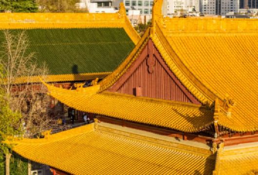 南京私人日活动 | 中山陵景区、明孝陵、夫子庙【私人跟团游避开人潮，静心品味每一处景点的历史与建筑精髓 串联五大核心景点，一日尽览南京的革命遗迹、皇家风韵与古建魅力 从中山陵到夫子庙，一站式体验军事智慧与儒家文化】