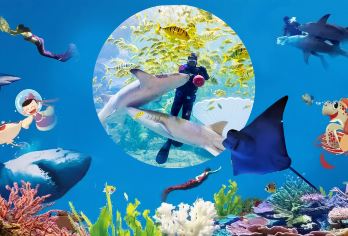 小团青岛极地海洋公园+黄岛金沙滩一日游/游艇出海含门票纯玩【经典老牌旅游线路，青岛深度游】