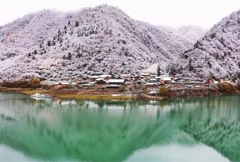 平武白马王朗自然保护区一日游【可选 平武报恩寺 】【纯玩用车 无购物 用车一价全含。】