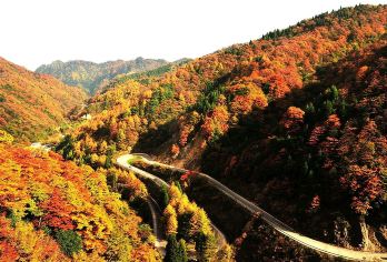 汉中龙头山国际旅游度假区【网红观光扶梯+云海奇观+往返索道】【[热门景点]汉中网红打卡景点，老少皆宜，索道、观光扶梯直达，无需爬山】