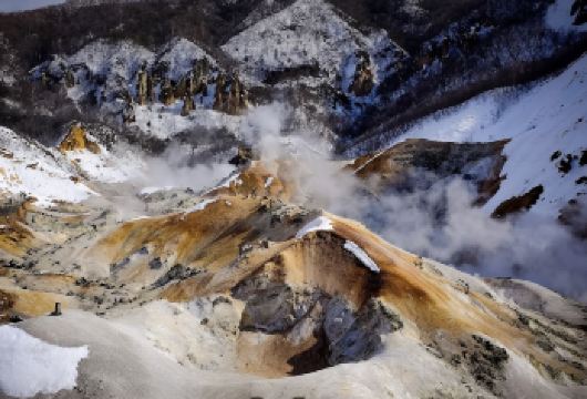 日本登别温泉镇-登别熊牧场-地球岬【北海道中文专车】【中文专车出行，景点灵活调整，打卡经典，游玩自己定义，无需等待，专属贴心服务，尽享惬意旅程】