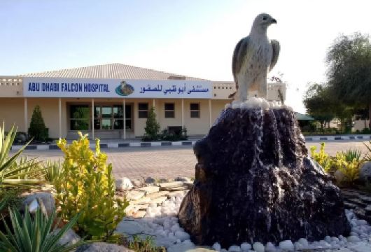 阿布扎比猎鹰医院+华纳兄弟主题乐园+儿童公园亲子包车一日游【专属包车省心游：全程专车服务，无缝衔接景点，免去转车劳顿，自由掌控游览节奏享受舒适惬意的深度之旅。】