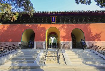 曲阜三孔一日游【带您走进孔子故里沉浸式解读3.5小时】【[超全时长趣味讲解]优选专业导游带您趣味畅游曲阜三孔】