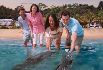 黄金海岸布里斯班摩顿岛一日游【喂海豚/ATV/浮潜/滑沙】【[特色体验]白沙碧海滑沙冒险，邂逅野生海豚，欣赏乘船日落，沙滩漫步浪漫满屋】