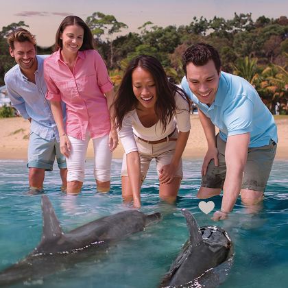 布里斯班摩顿岛/海豚岛一日游【喂海豚/ATV/浮潜/滑沙】