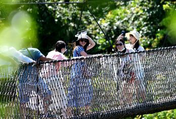 三亚亚龙湾热带天堂森林公园一日游【同业】【（三亚市区，三亚湾，大东海，亚龙湾）提供接送服务】