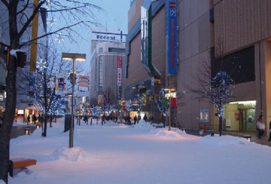 日本北海道+旭川+富田农场一日游/行程可调-可定制多日【包车一日游，解锁旅行新方式！独立车辆配备经验丰富的老司机，为您量身打造专属行程。】