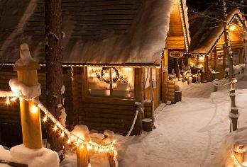 日本北海道旭山动物园+森林精灵阳台+白须瀑布一日游【走访人气爆棚的旭山动物园，近距离感受北国动物们的活力与魅力】