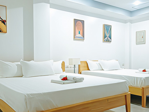 ADC瑞索特安德霍特尔阿帕利特庞邦加