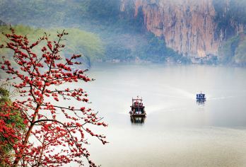 南宁+百鸟岩+百魔洞+长寿村一日游【独立包车&无自费无购物】【[私家小团]周末短团，一单一团，独立用车，不用等待，来一场说走就走的旅行！】