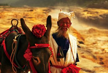 陕西延安黄河壶口瀑布【南泥湾+黄土风情观景台+北京知青旧居】【[对比优势]自家车队和导游一手发团，保证品质，不压缩景点游览时间，不进购物店】