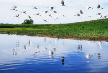 齐齐哈尔市游+扎龙+大乘寺一日活动【景色优美】