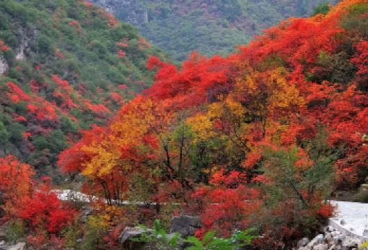 陕西西安郑国渠旅游风景区+袁家村一日游【小车出行/两位起订】【西安市三环内接早，2位起订，小车出行，精致小团天天发】