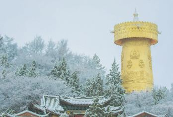 丽江香格里拉一日游虎跳峡+独克宗古城+依拉草原可选松赞林寺【[当天往返]含回程含高速过路费，把时间留在游玩上，赠防寒服氧气矿泉水!】
