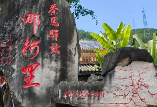 【2-8人纯玩拼小团】普洱太阳河森林公园+那柯里古镇一日游【[懒人友好]2-8人纯玩拼小团，普洱市区范围内上门接送，游玩时间充裕】