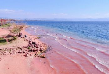 抚仙湖+禄充风景区+广龙抚海湾+粉红沙滩一日游（含游船）【品尝抚仙湖当地美食，特色铜锅鱼，洋芋焖饭，吃得安心玩得放心。】