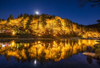 秋季限定1人成团|永保寺+香岚溪+四季樱一日游| 名古屋往返【秋季限定樱花&枫红共赏之旅，700年古寺禅意满满，让我们在自然、人文和自我探索中，找寻内心平静和力量】